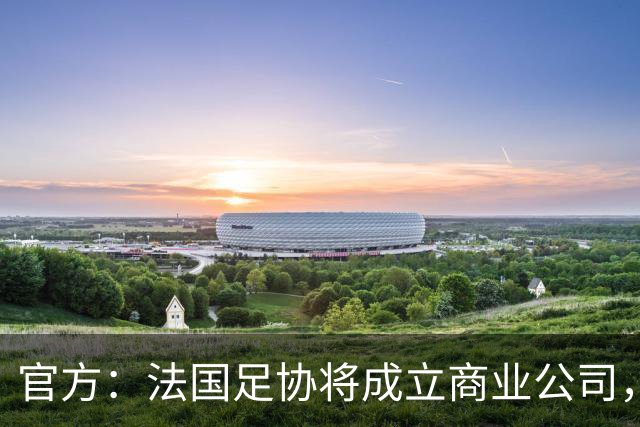 官方：法国足协将成立商业公司，管理法甲、法乙及其商业权益